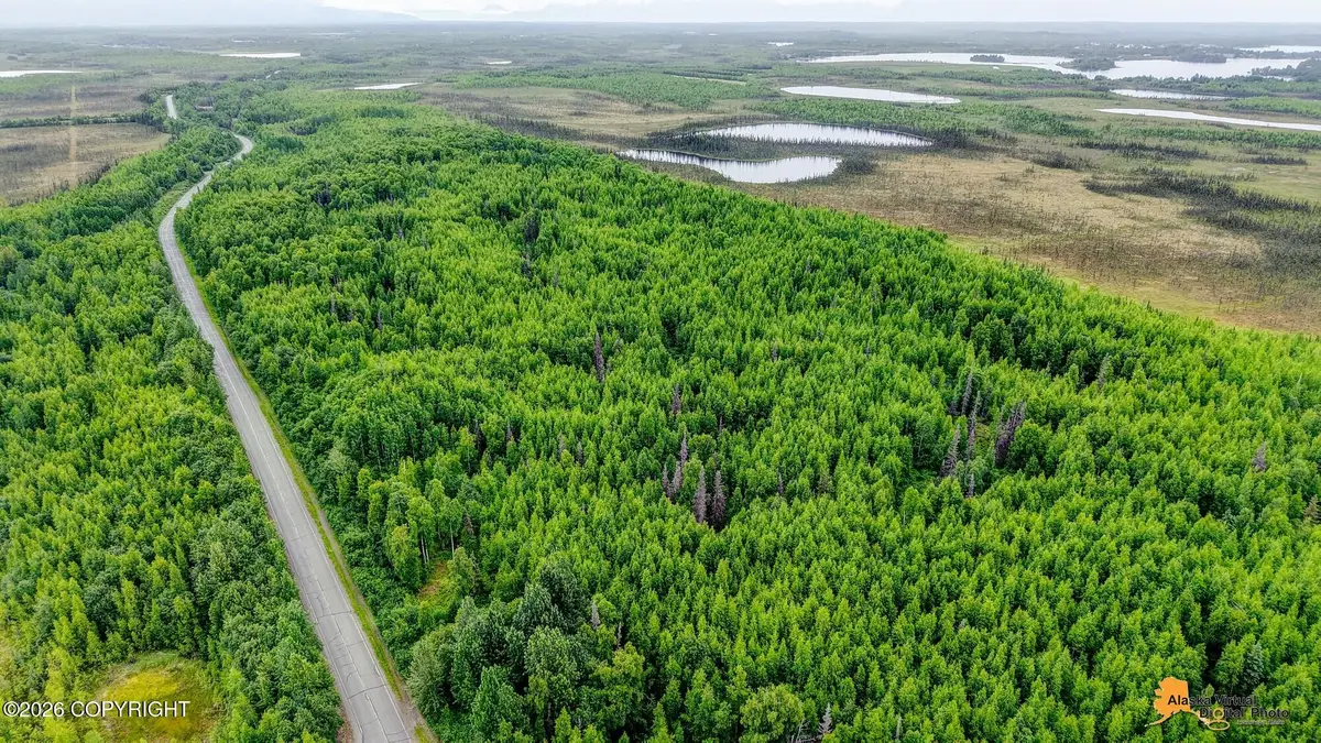 18484 W Lakes Boulevard, Big Lake, AK 99652 - #1