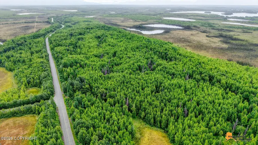 18532 W Lakes Boulevard, Big Lake, AK 99652 - #3