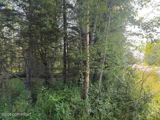 4451 E Merrill Circle, Wasilla, AK 99654 - #3