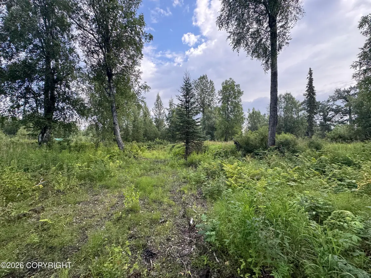 11360 E Wolf Trail, Trapper Creek, AK 99683 - #1