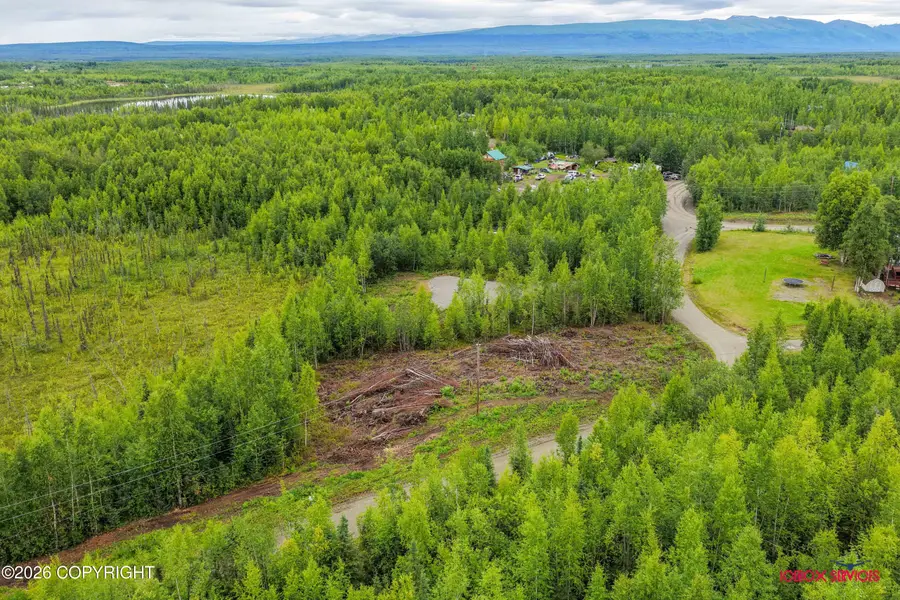 14607 W Lazy Circle, Big Lake, AK 99652 - #3