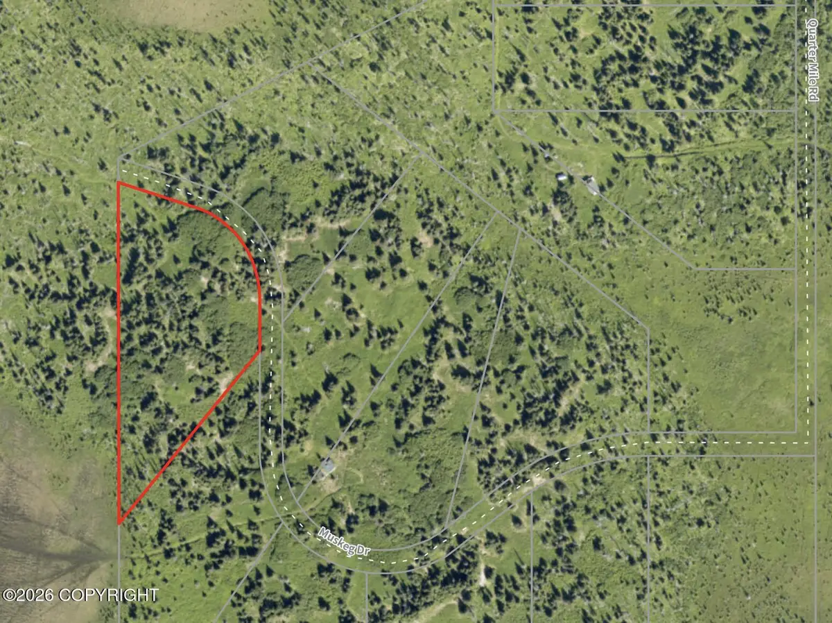 46075 Muskeg Drive, Homer, AK 99603 - #1