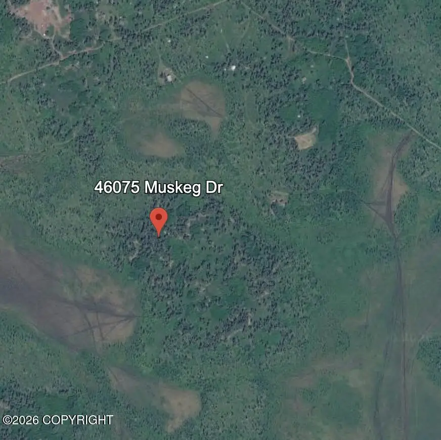 46075 Muskeg Drive, Homer, AK 99603 - #2