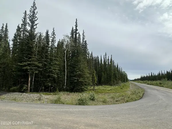 L1 B7 Borealis & Mackenzie Road, Tok, AK 99780