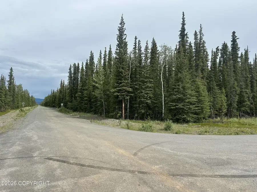 L1 B7 Borealis & Mackenzie Road, Tok, AK 99780 - #2