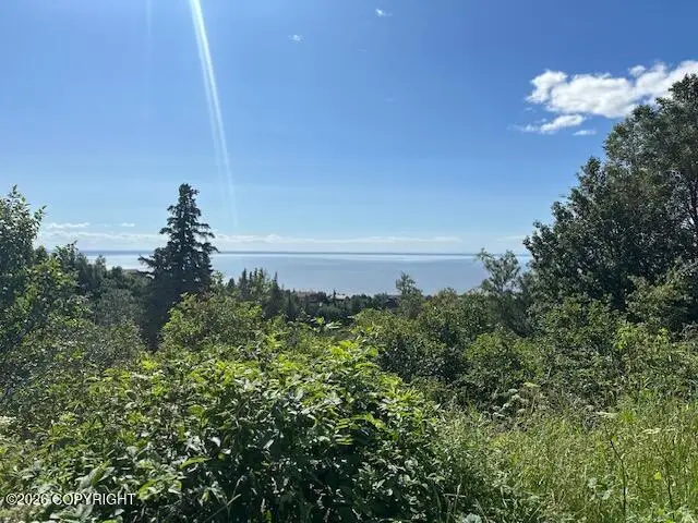 L16 B9 Romania Drive, Anchorage, AK 99516 - #1