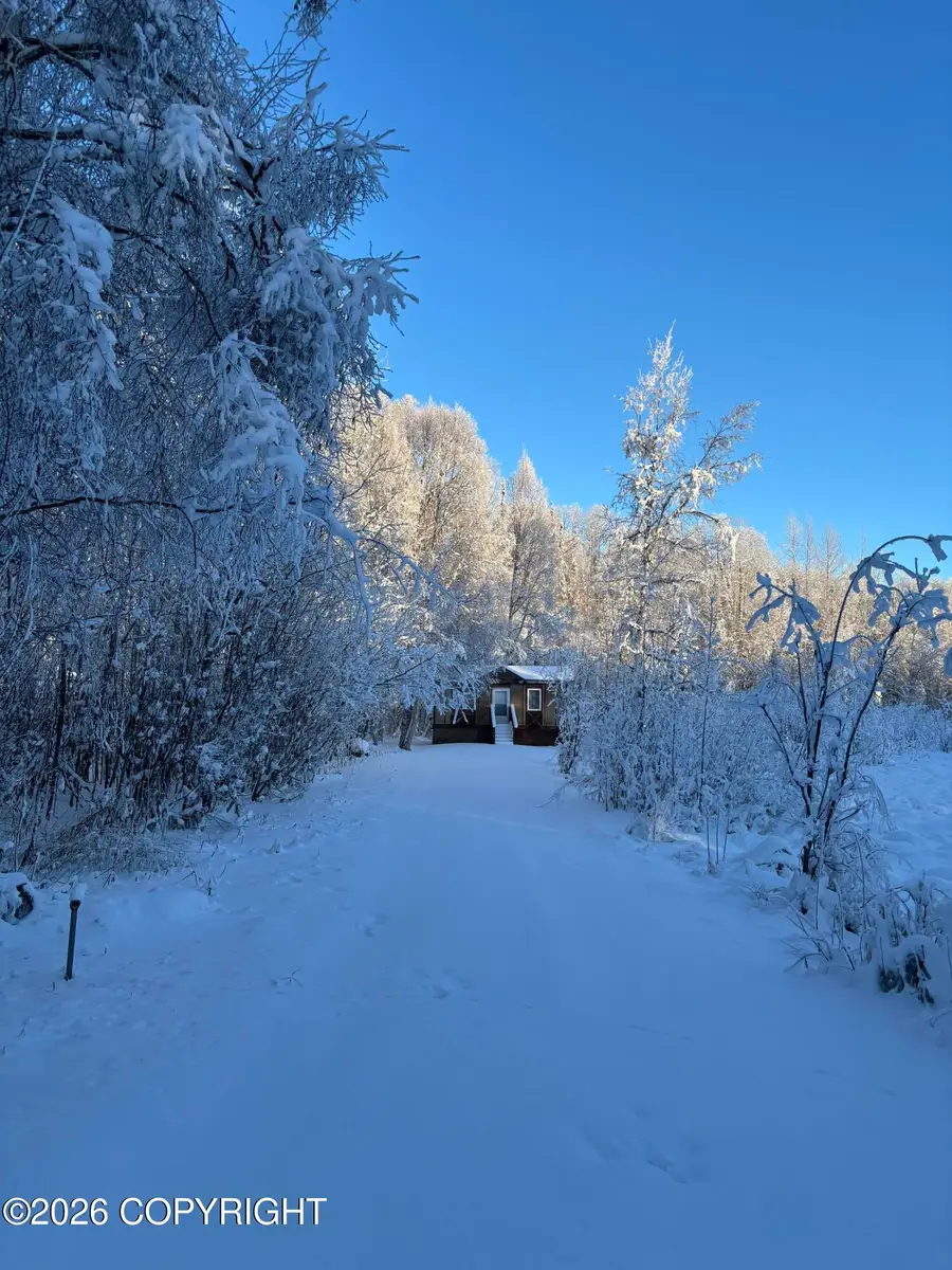 14595 E Prairie Circle, Willow, AK 99688 - #3