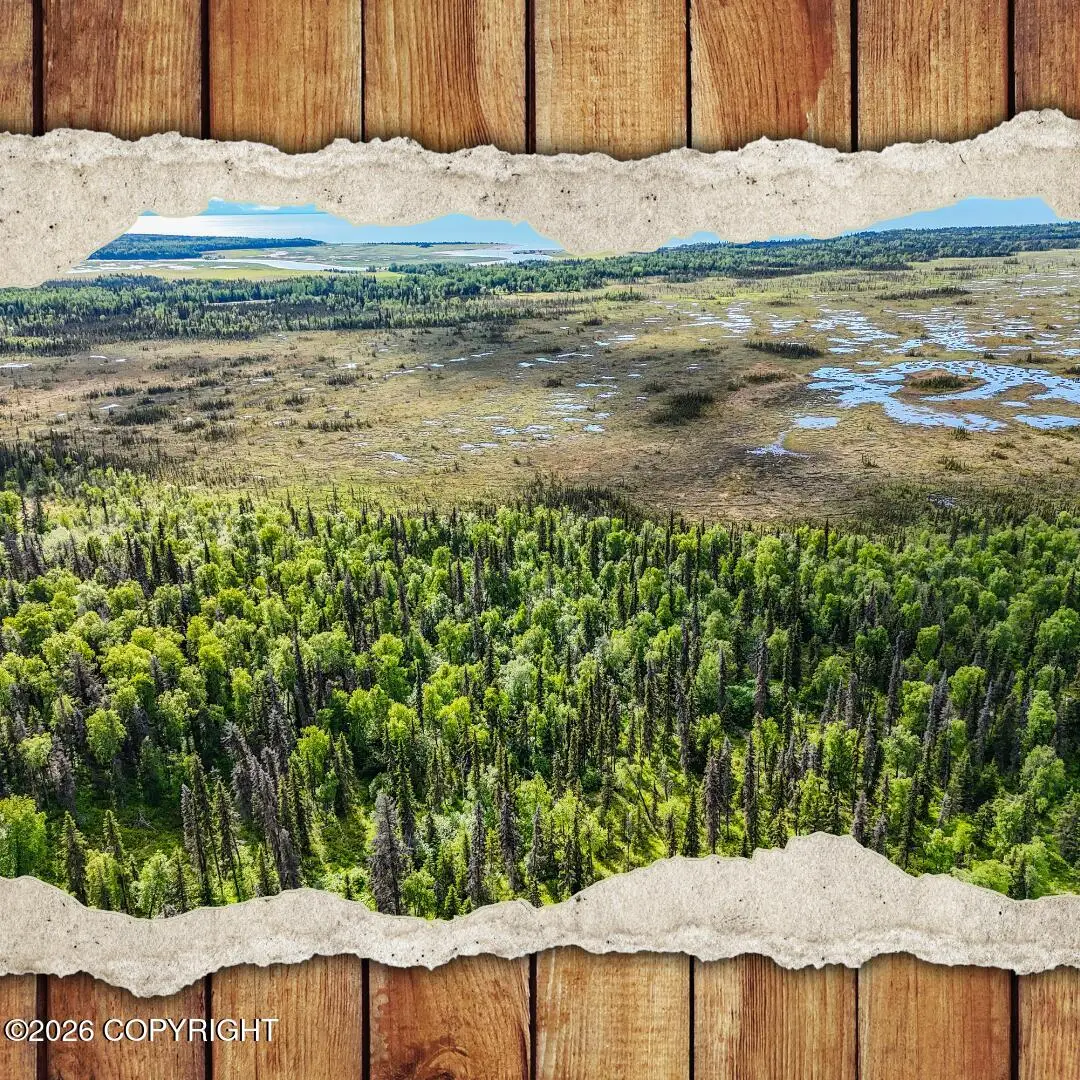 TR A B1 Kasilof Wilderness Sub, Kasilof, AK 99610 - #1
