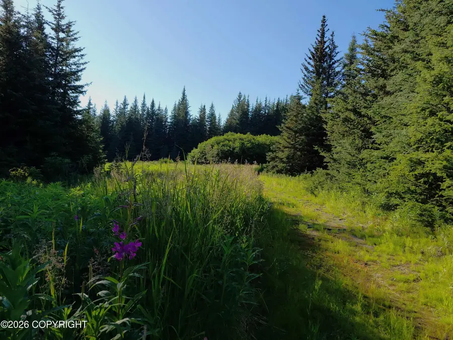 L 22 Kachemak Bay, Homer, AK 99603 - #2