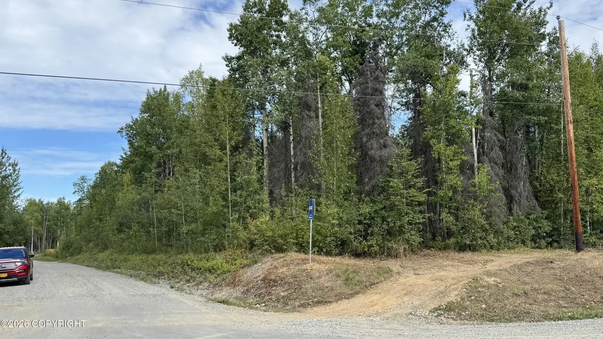 000 E Caswell Lakes Road, Willow, AK 99688 - #1