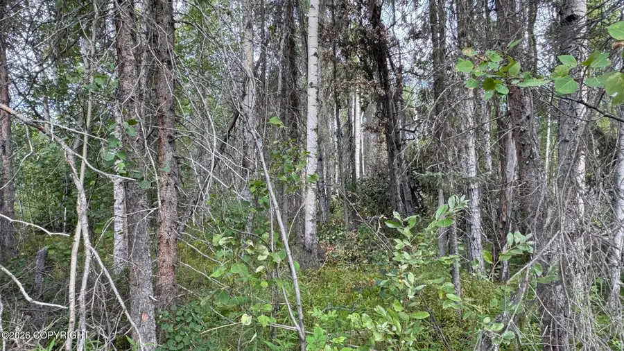 000 E Caswell Lakes Road, Willow, AK 99688 - #2