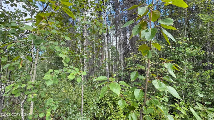 000 E Caswell Lakes Road, Willow, AK 99688 - #3