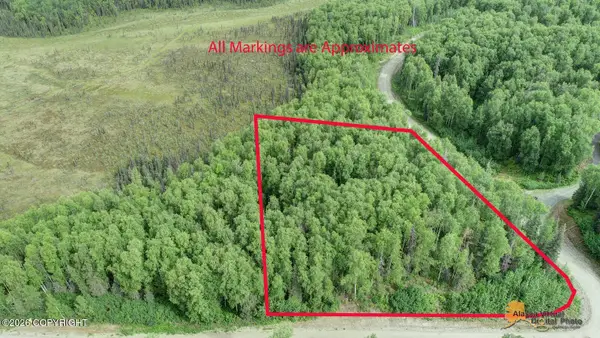 L2 W Tuxedo Avenue, Willow, AK 99688