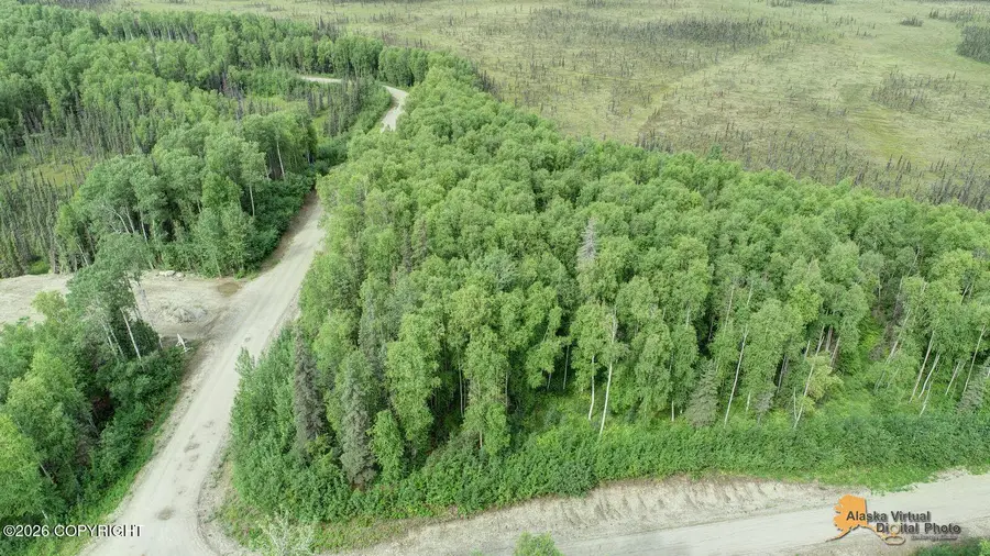 L2 W Tuxedo Avenue, Willow, AK 99688 - #3