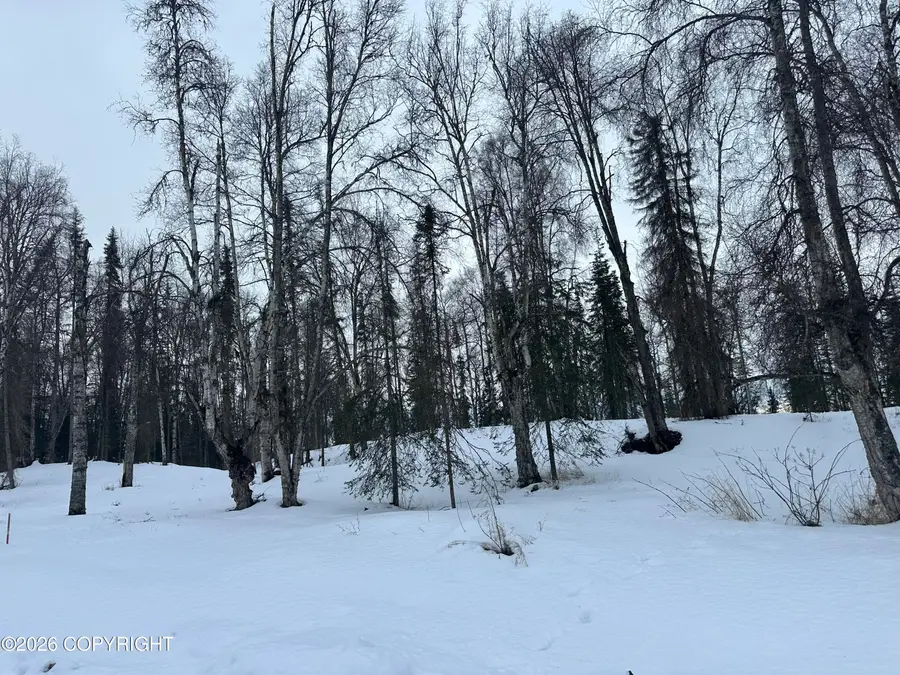 35025 Alicia Road, Soldotna, AK 99669 - #2