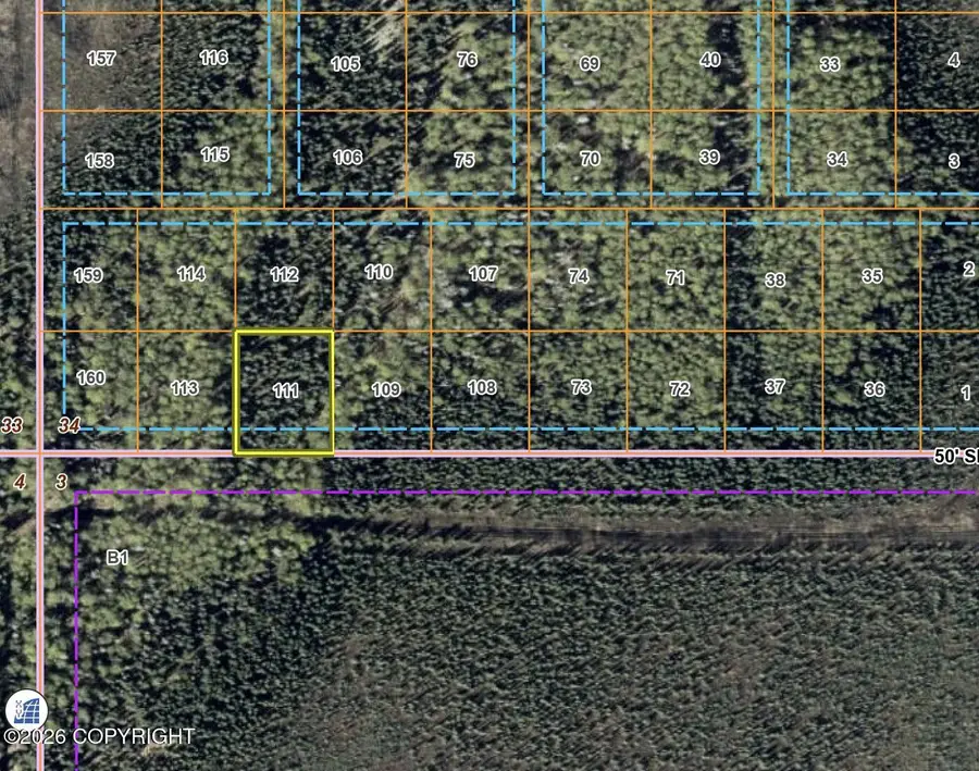 Tr 111 Point Mackenzie, Wasilla, AK 99654 - #2