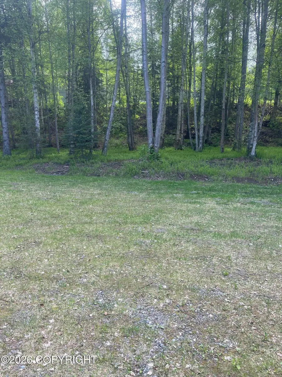 20001 Scenic Drive, Chugiak, AK 99567 - #3
