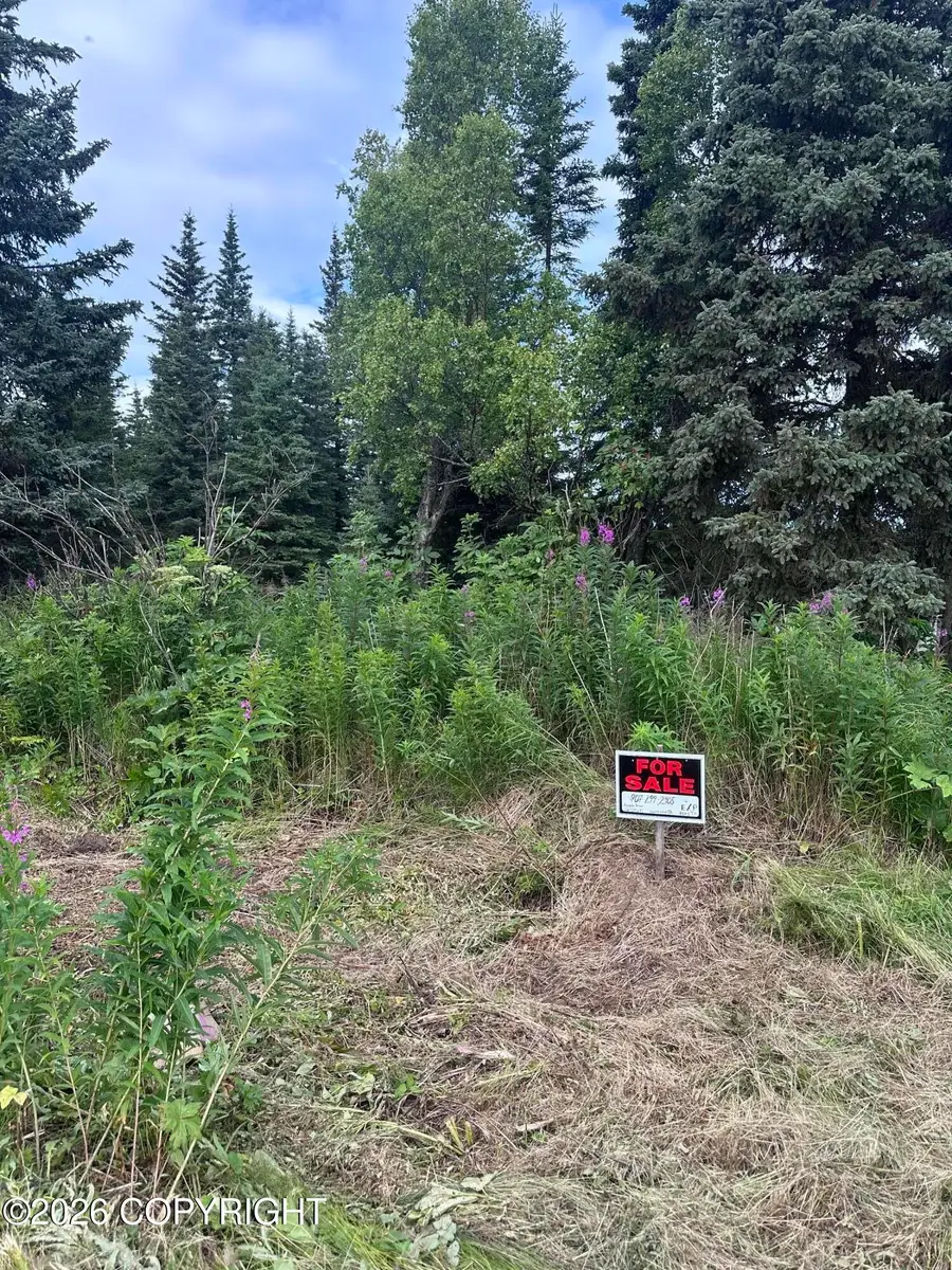 69272 Royce Drive, Anchor Point, AK 99556 - #3
