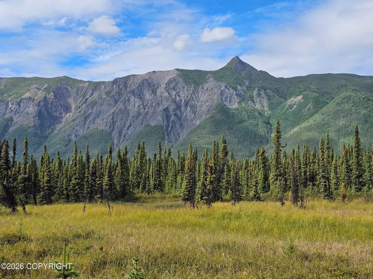 34033 W Arnica Avenue, Chickaloon, AK 99674 - #1