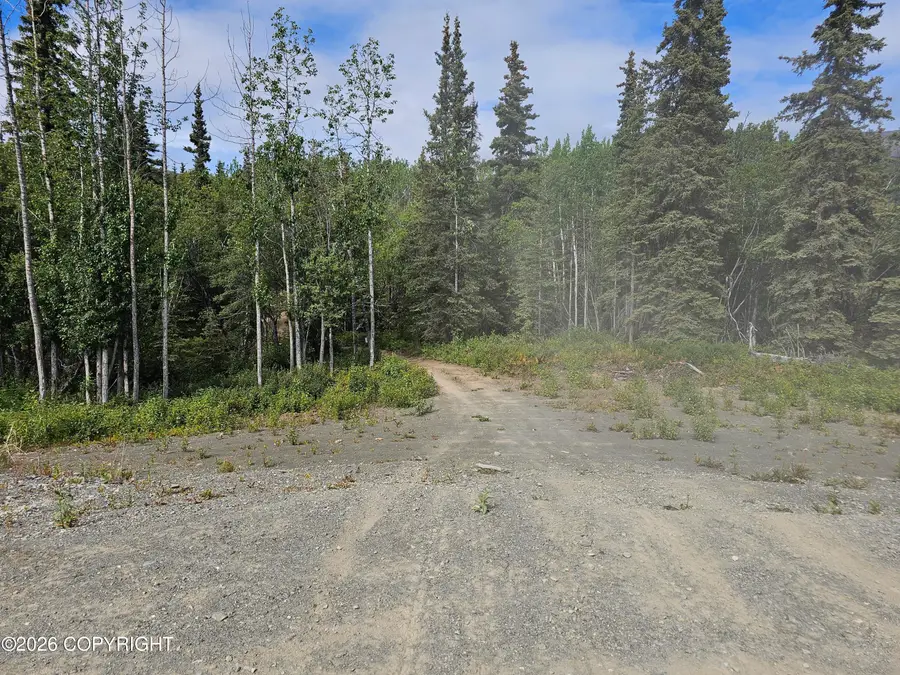 34033 W Arnica Avenue, Chickaloon, AK 99674 - #3