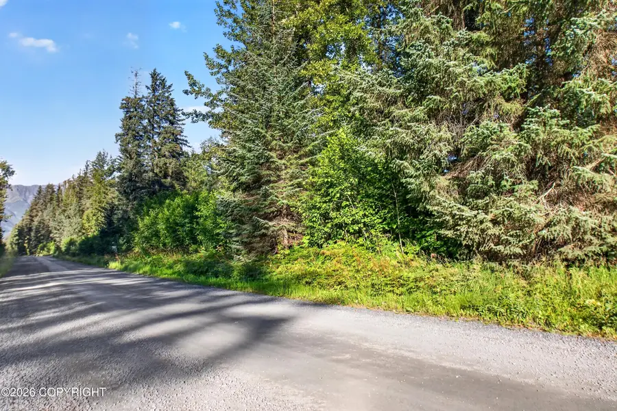 L10 B4 Johnson Avenue, Seward, AK 99664 - #3