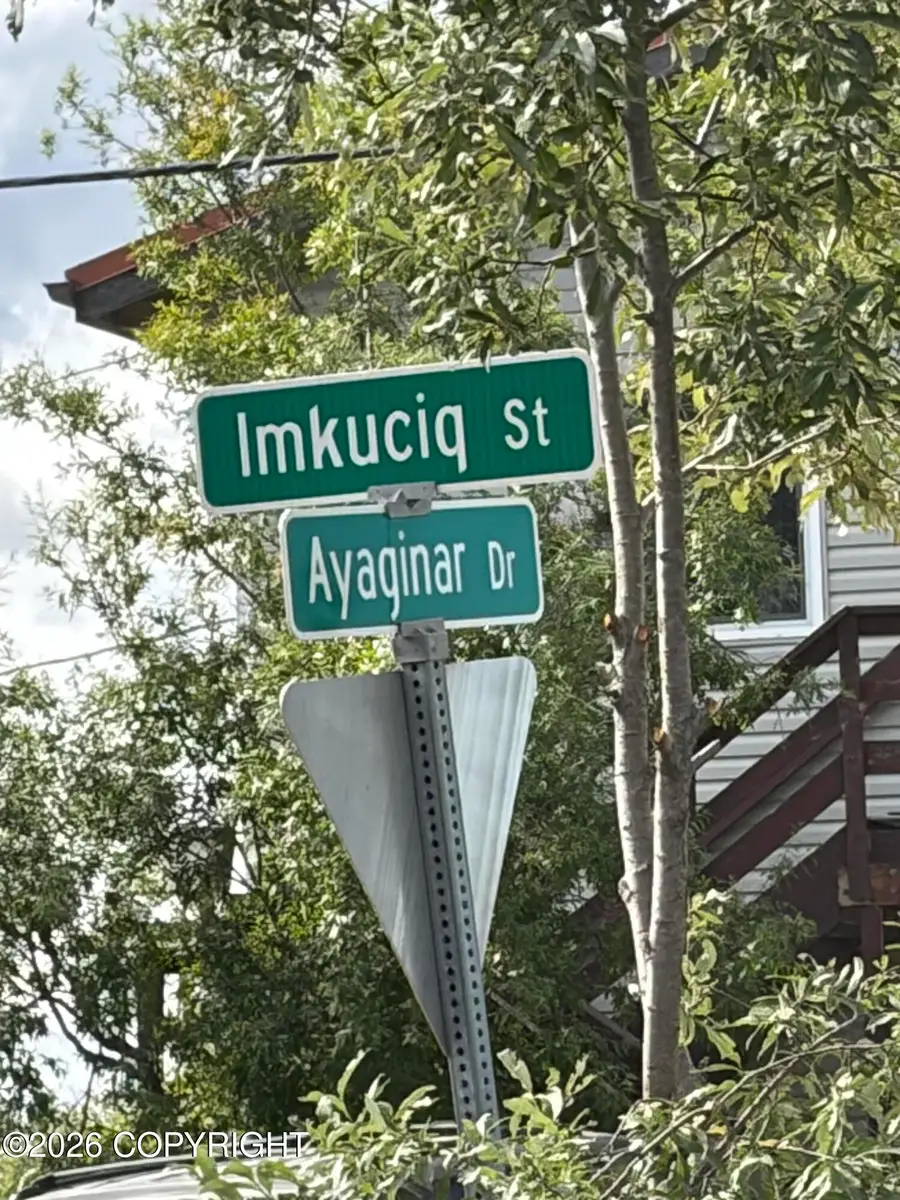 9451 Ayaginar Drive, Bethel, AK 99559 - #3