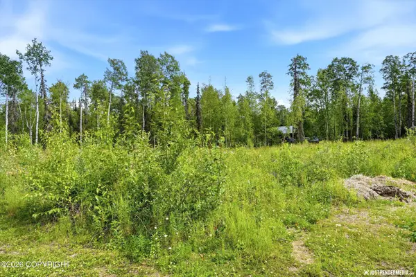 24681 W Sunnyslope Way, Willow, AK 99688