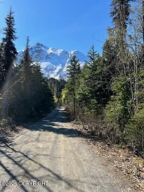 Tr A Blakley Drive, Cooper Landing, AK 99572 - Image #2