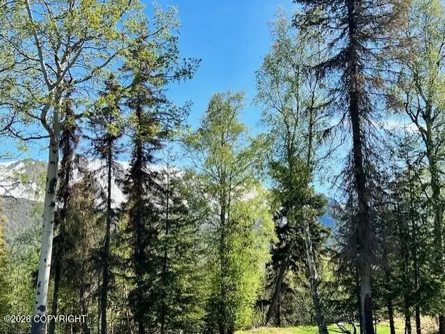 Tr A Blakley Drive, Cooper Landing, AK 99572 - Image #3