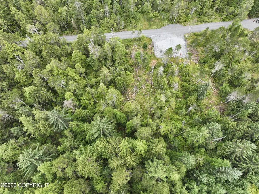Lot 2 Blueberry Lane, Petersburg, AK 99833 - #2