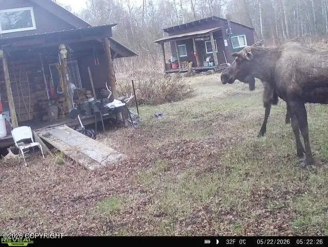 B001 No Road, Talkeetna, AK 99676 - #2