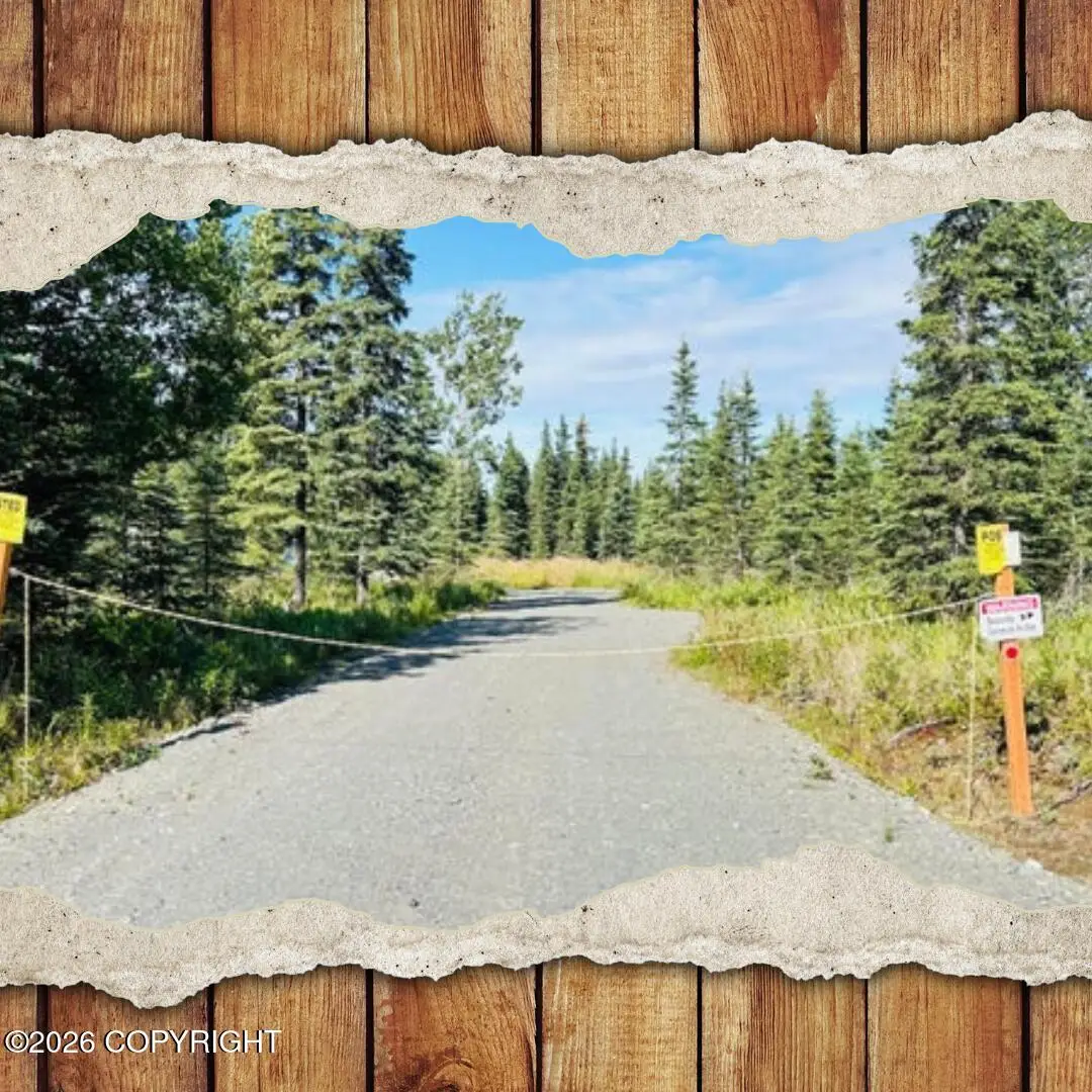 53558 St Elias Avenue, Kasilof, AK 99610 - #1