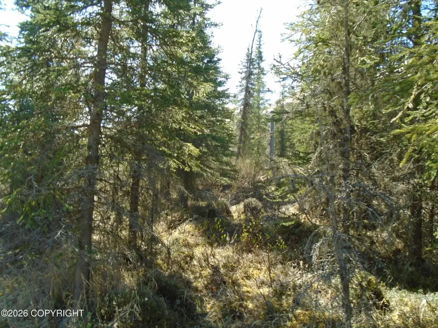 Lot 6 River Circle, Eagle River, AK 99577 - #2