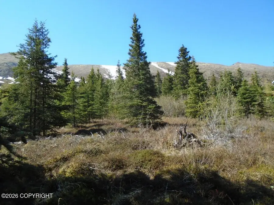 Lot 2 West River Drive, Eagle River, AK 99577 - #2