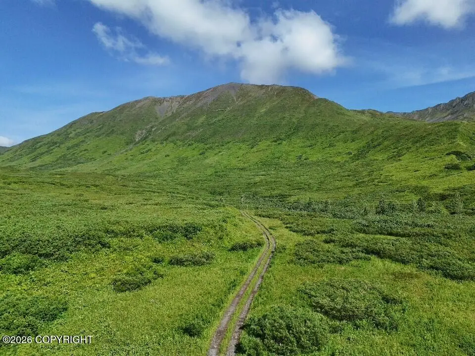 000 Dutch Creek Gold Claims, Trapper Creek, AK 99683 - #1