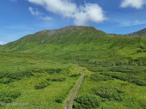 000 Dutch Creek Gold Claims, Trapper Creek, AK 99683