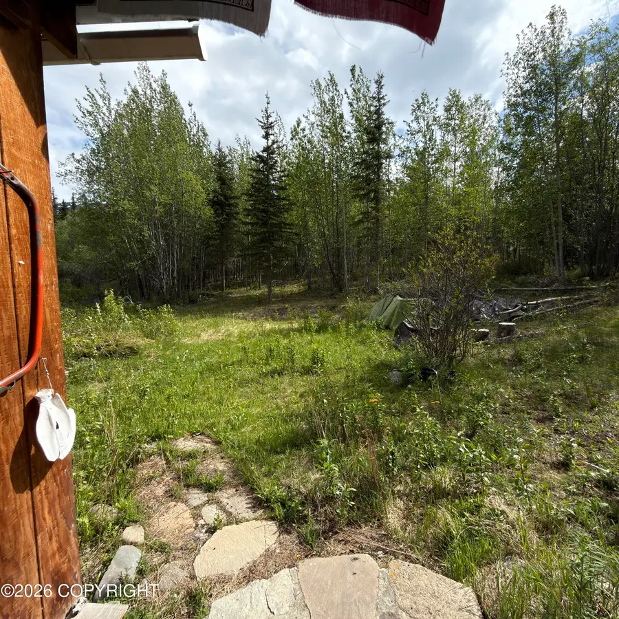 B009 T20nr10es25 Highway, Chickaloon, AK 99674 - #3
