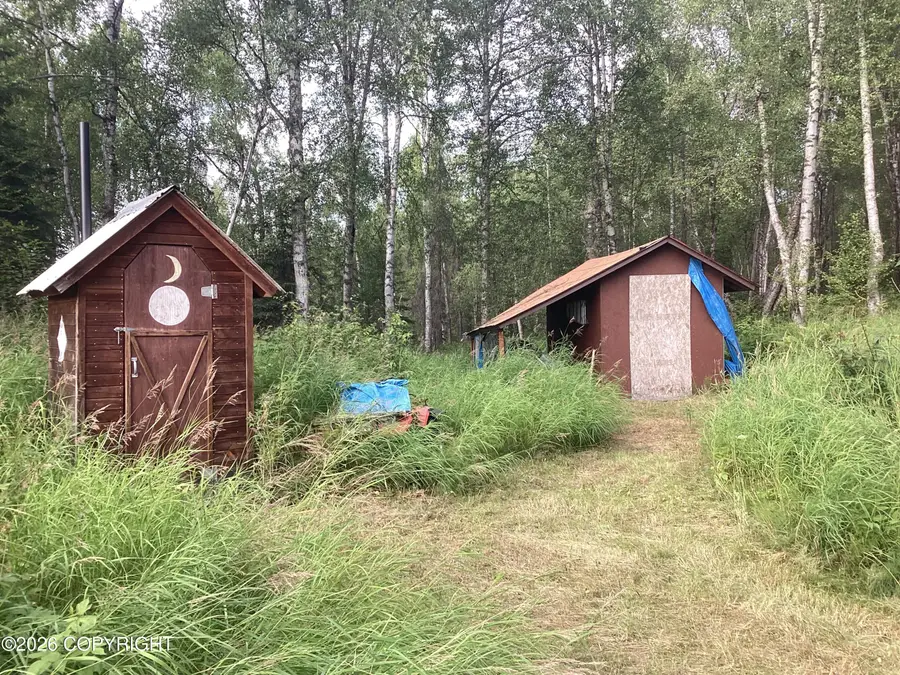 nhn N Otter Lake, Skwentna, AK 99688 - #3