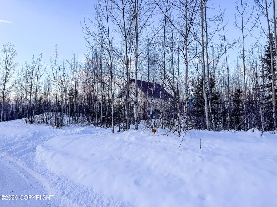 621 S Parsons Street, Big Lake, AK 99623 - Image #2