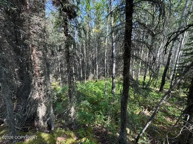 L3 B1 Funny River Road, Soldotna, AK 99669 - #2
