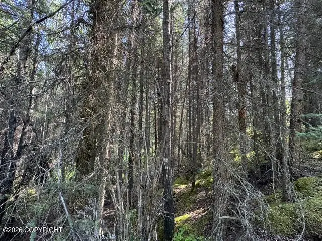 L3 B1 Funny River Road, Soldotna, AK 99669 - #3