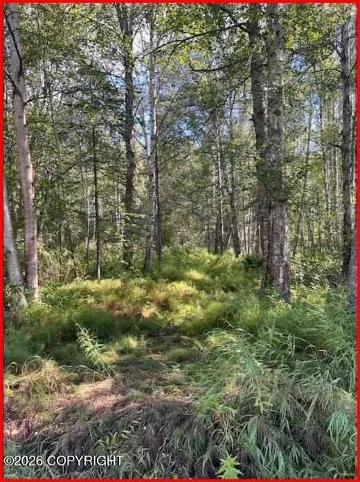 9865 S Twilight Drive, Wasilla, AK 99654
