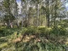9865 S Twilight Drive, Wasilla, AK 99654 - #2