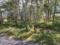 9865 S Twilight Drive, Wasilla, AK 99654 - #3