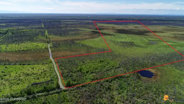 40207 W Krantz Road, Willow, AK 99688