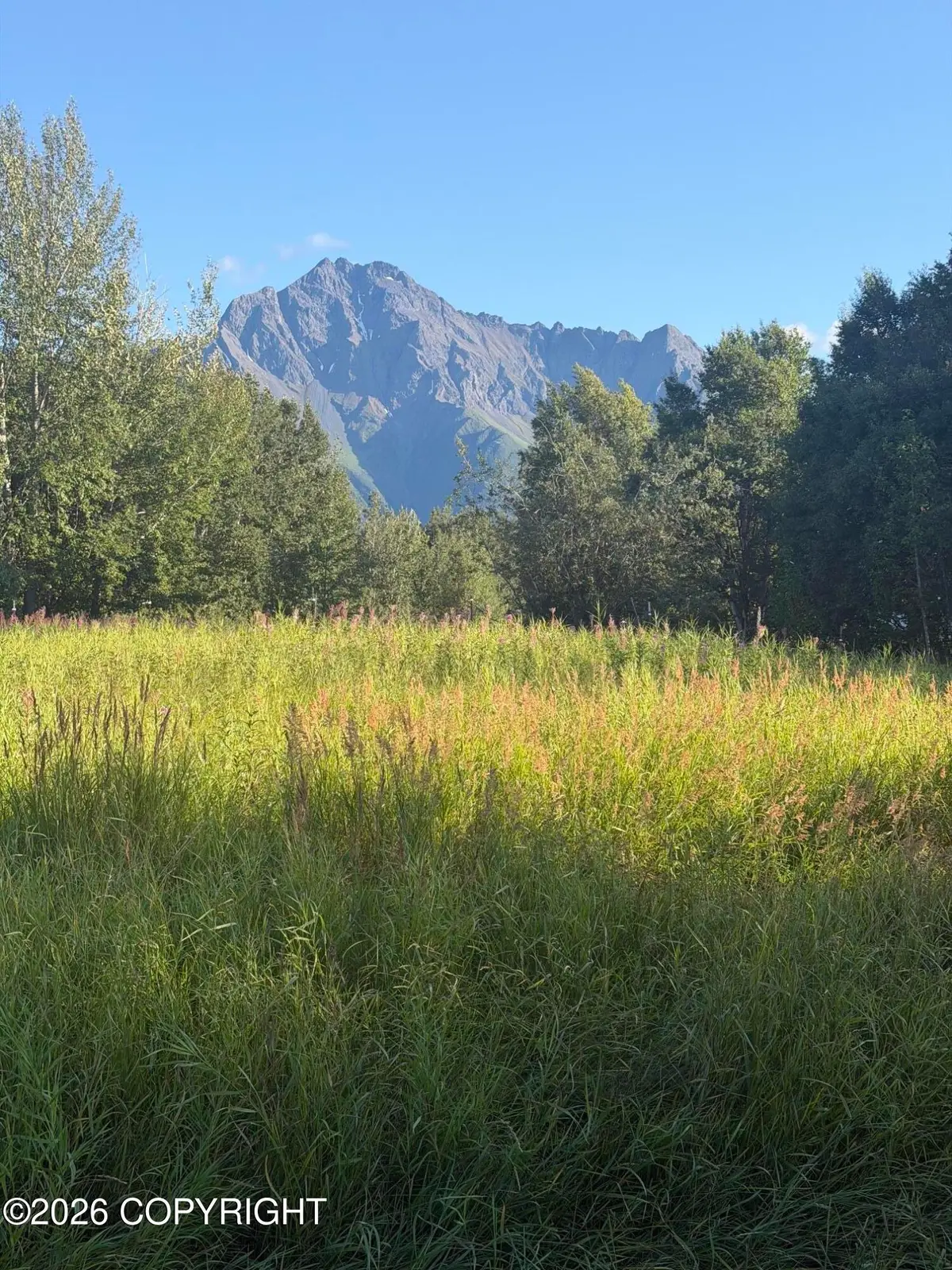 2937 S Mccombs Road, Palmer, AK 99645 - #1