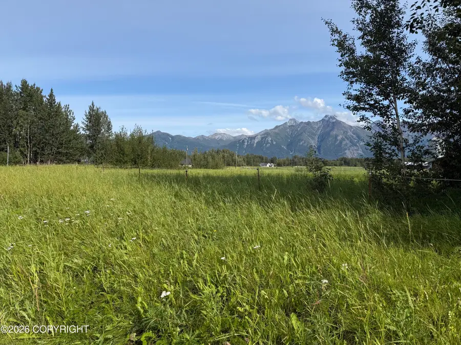 2937 S Mccombs Road, Palmer, AK 99645 - #3