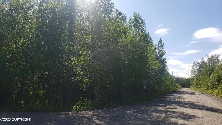5328 W Bryce Circle, Wasilla, AK 99623 - #2