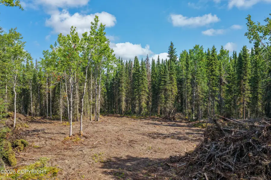 50222 Byington Road, Kasilof, AK 99610 - #3