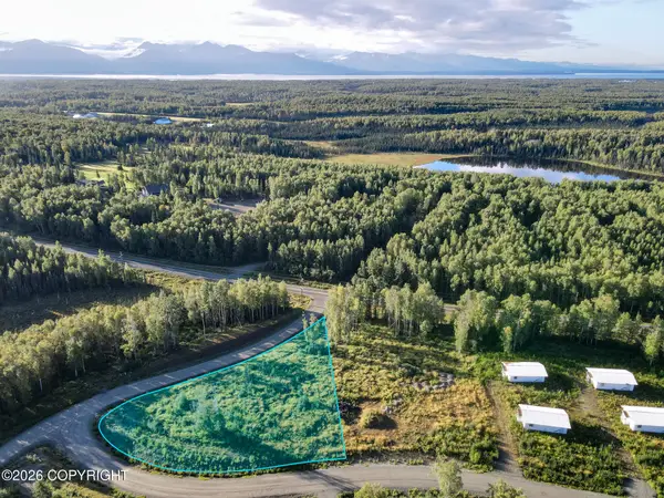 NHN Lot 19 Northern Skies, Wasilla, AK 99623